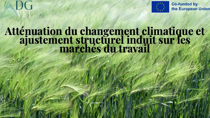 Module 7 : « Atténuation du changement climatique et ajustement structurel induit sur les marchés du travail ».